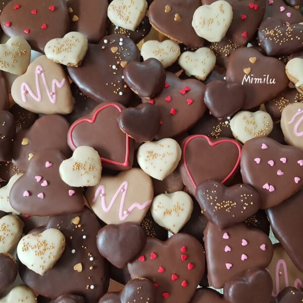 ficus decora cabernet